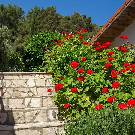 Apartments Villa Julija Mali Losinj Room photo