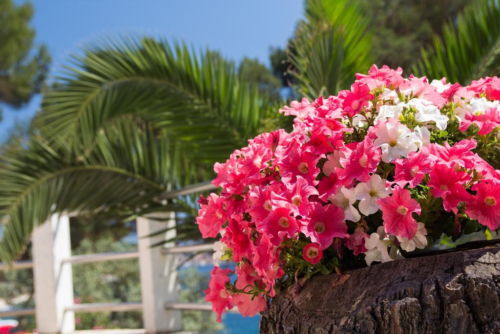Apartment Julija Mali Losinj